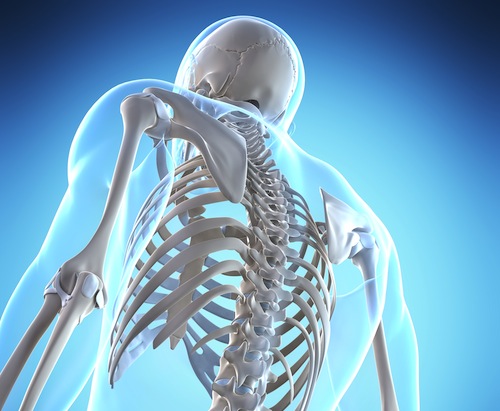 Optimizing Bone Health Through Nutrition: